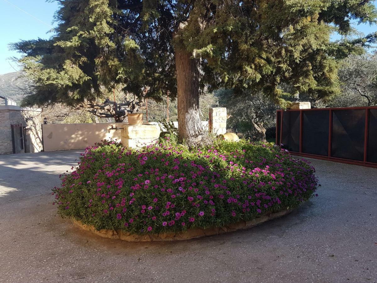 Mouri Villa Murí Kültér fotó